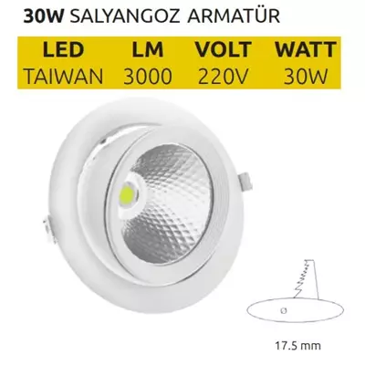/resimler/cacheweb/urunler/30w_salyangoz_cob_led_armatur1_189.webp?v=638110670699916790