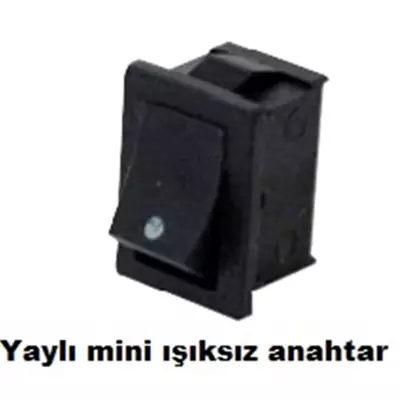 /resimler/cacheweb/urunler/yayli_mini_isiksiz_anahtar1_563.webp?v=638117182027265235